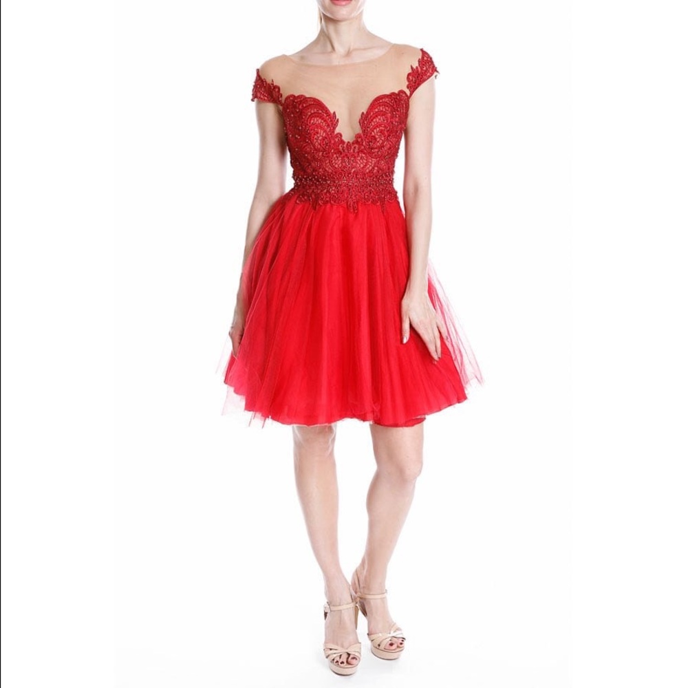 Terani Tulle Lace Jeweled Red Gown